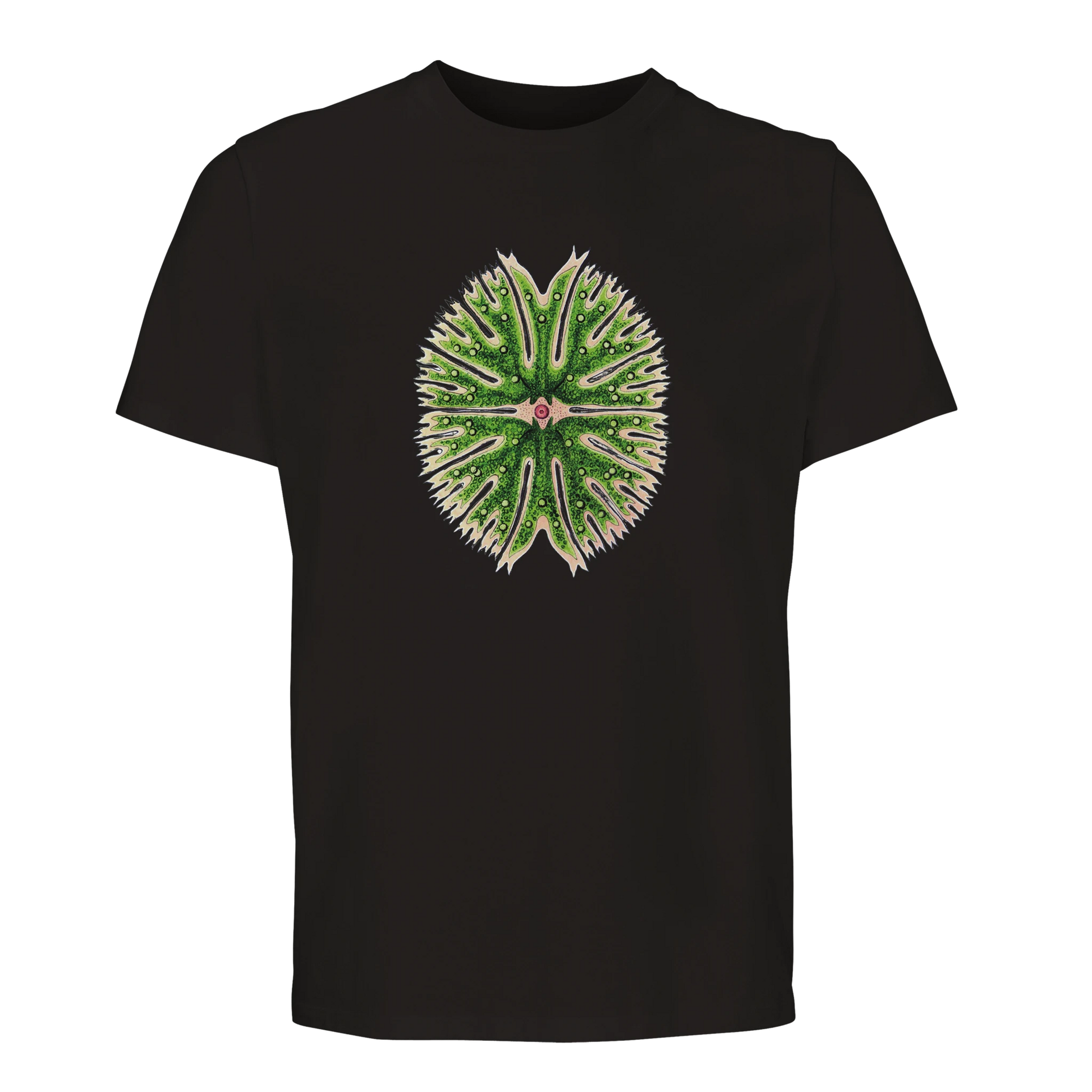 128edcaa-151c-4d7f-b44e-6afdf4dda1e1