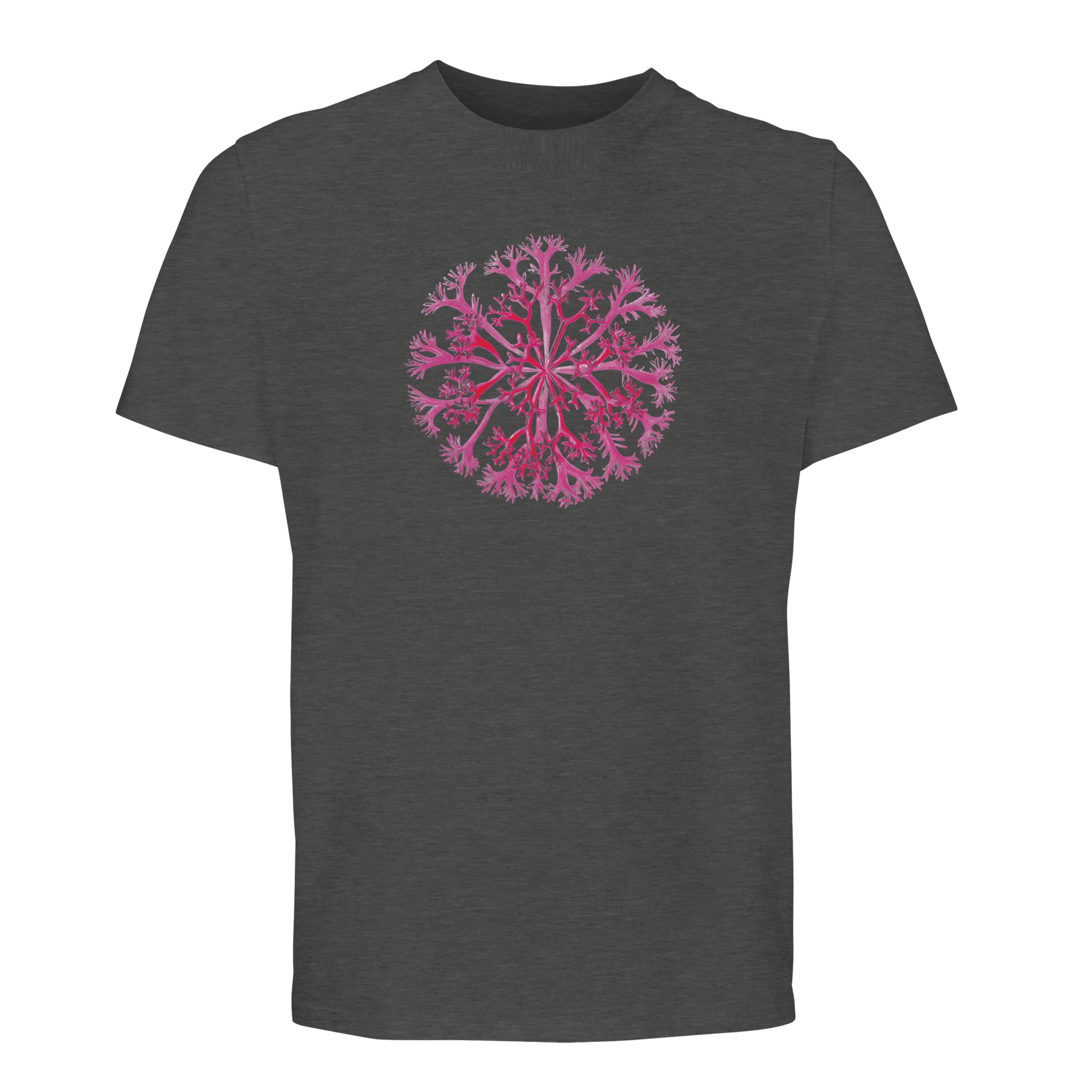 1fc831b3-6a02-4253-a7d5-bcfc5cd8af24