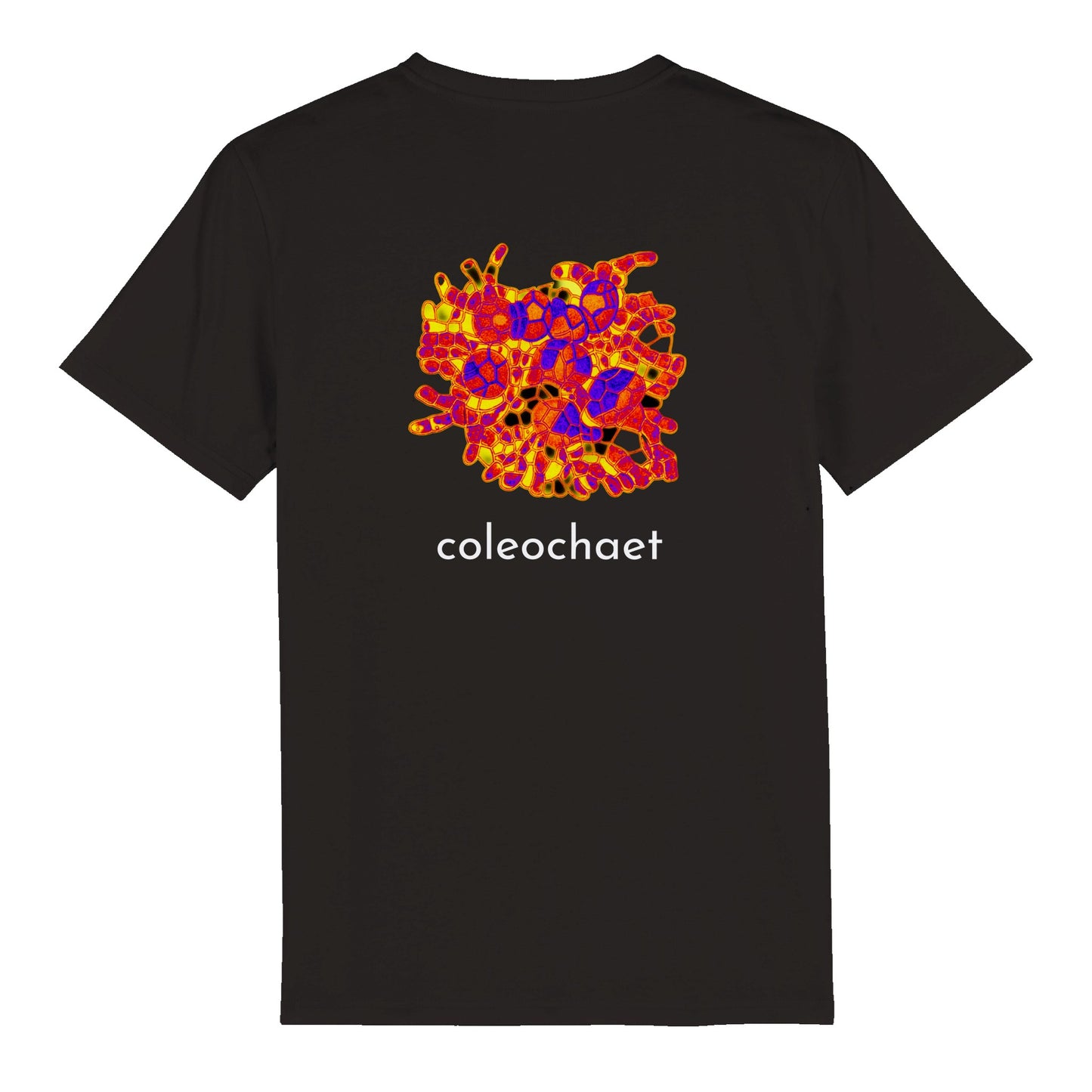 Coleochaet-T-Shirt