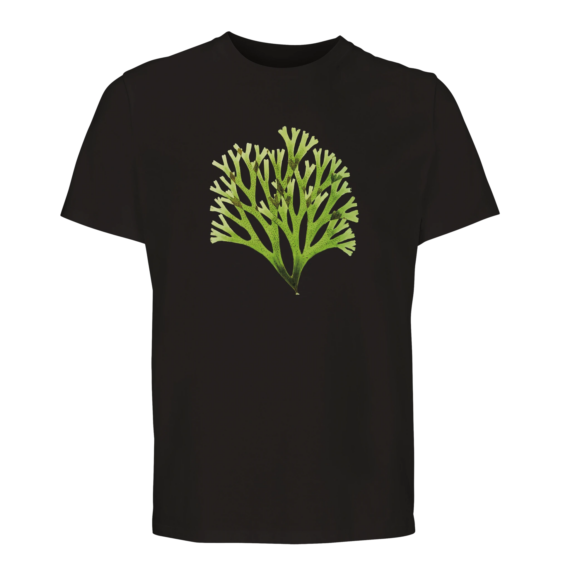 3ba5feef-e4bc-48b1-a1b4-99985ade10d7