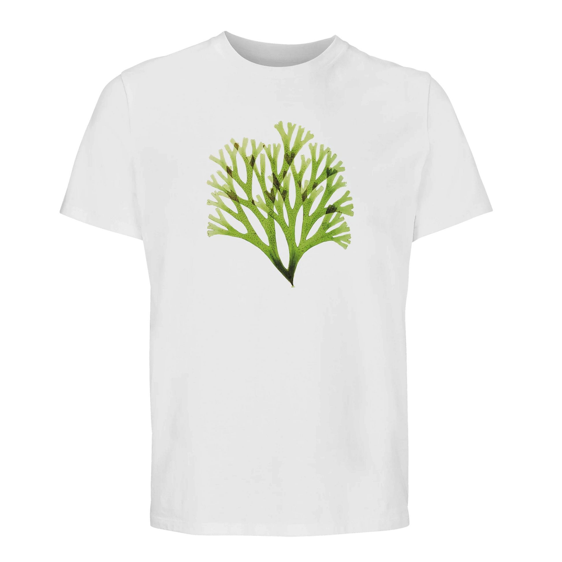 48ad48bd-d80b-474d-a1a9-dc2f9d8eab39