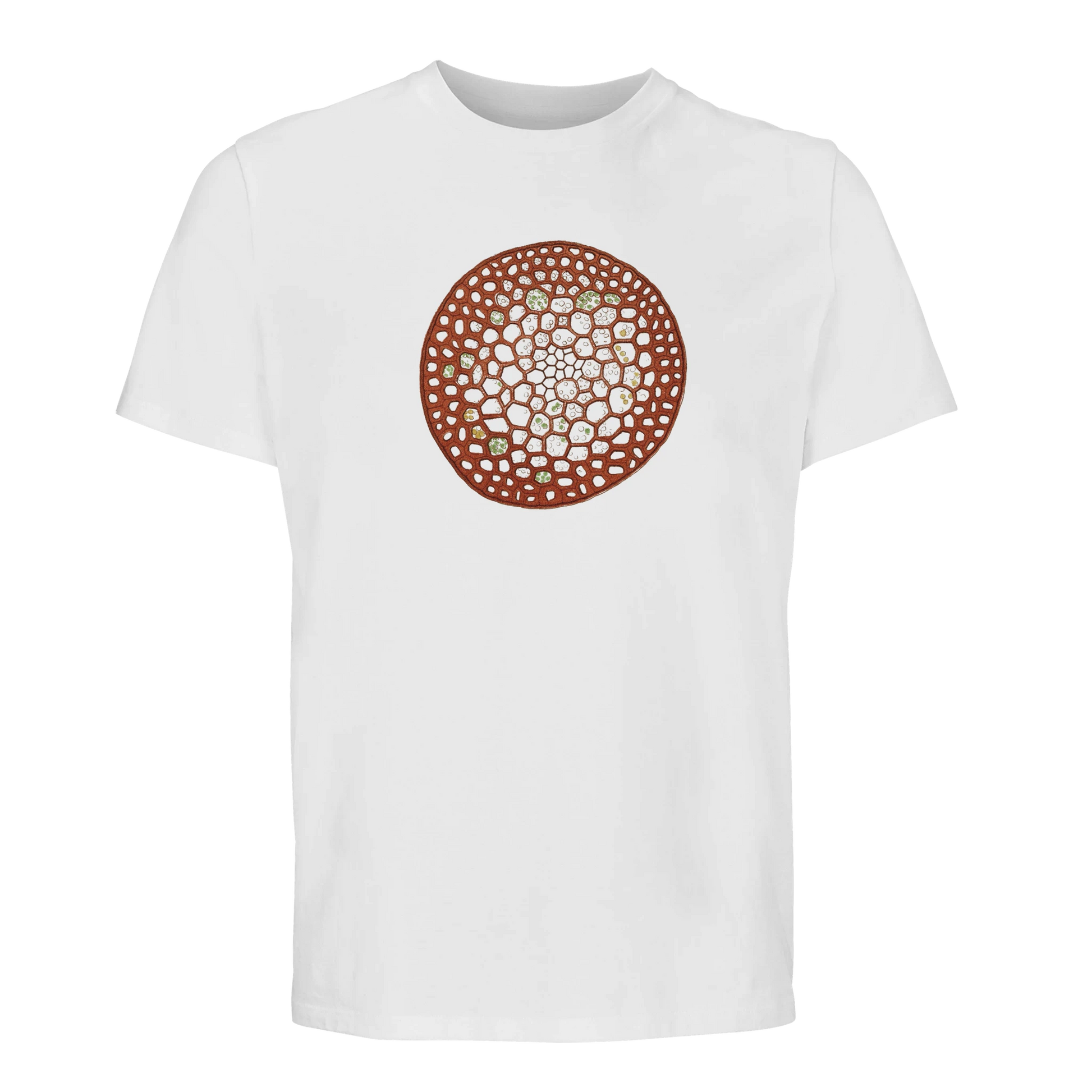 6bc94aa6-9b9b-4de7-a433-2d76461d2d40