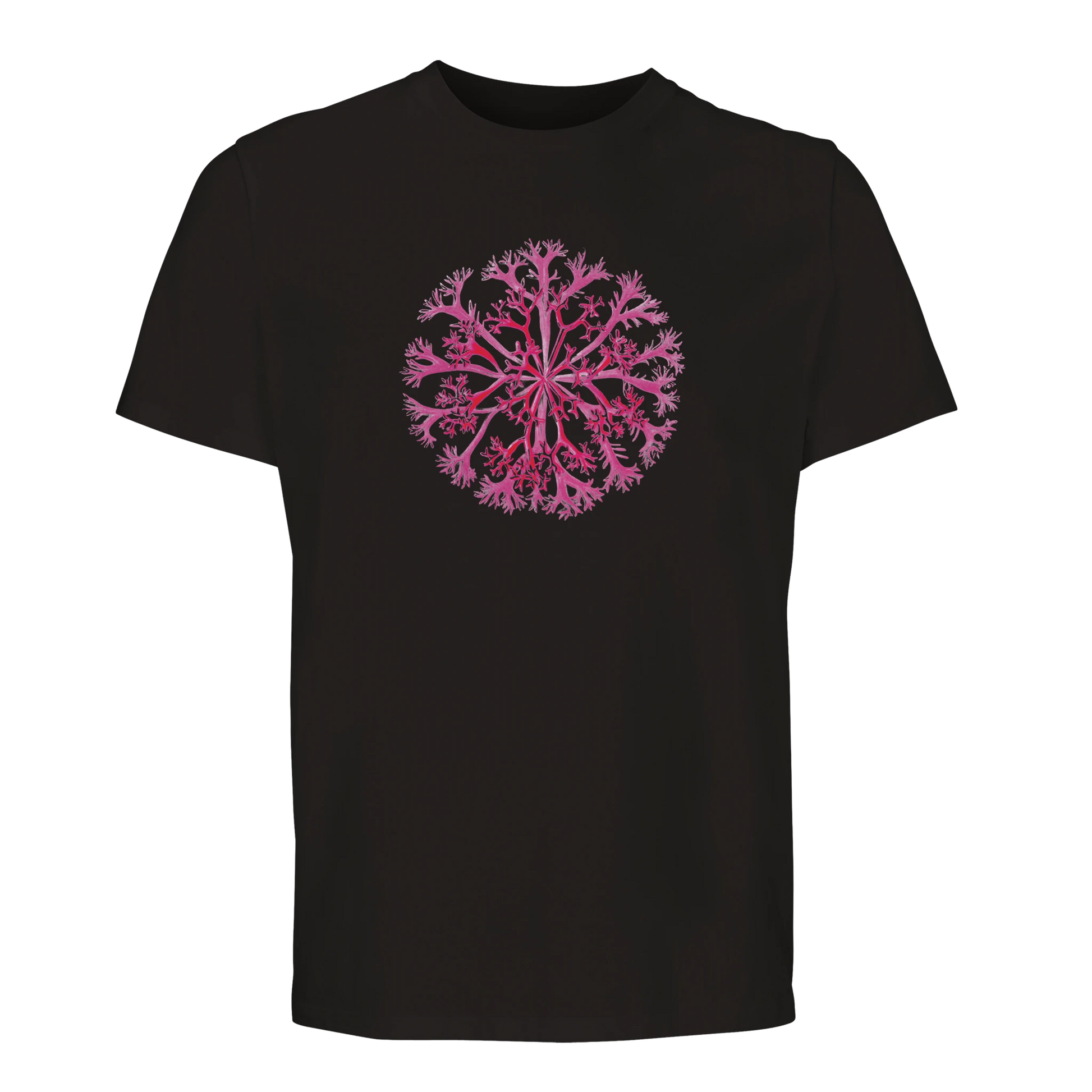 6c22c61c-814a-4d97-a011-d64a520370f8