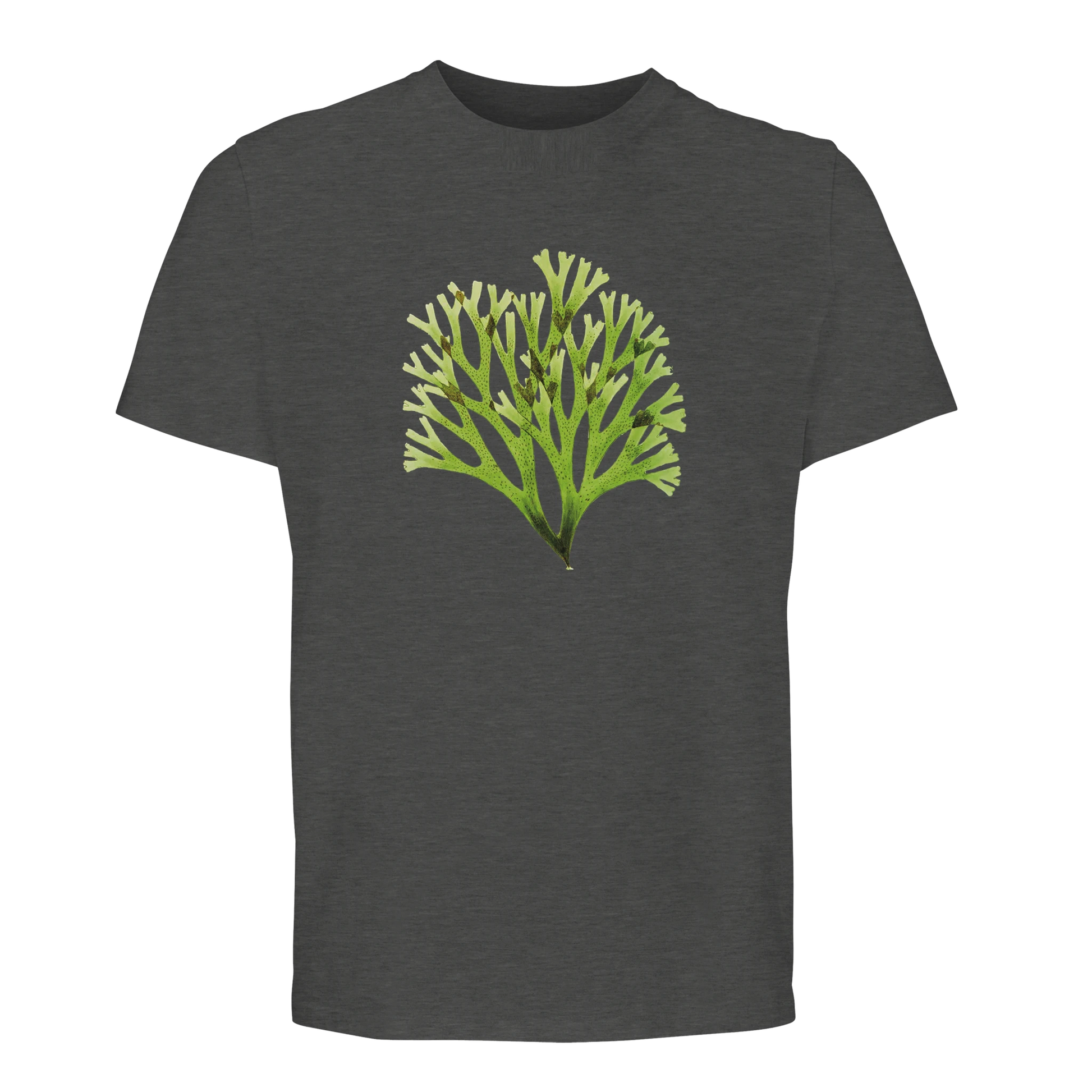 9830c9f0-1f4b-4a30-9f04-74434c8fa57e