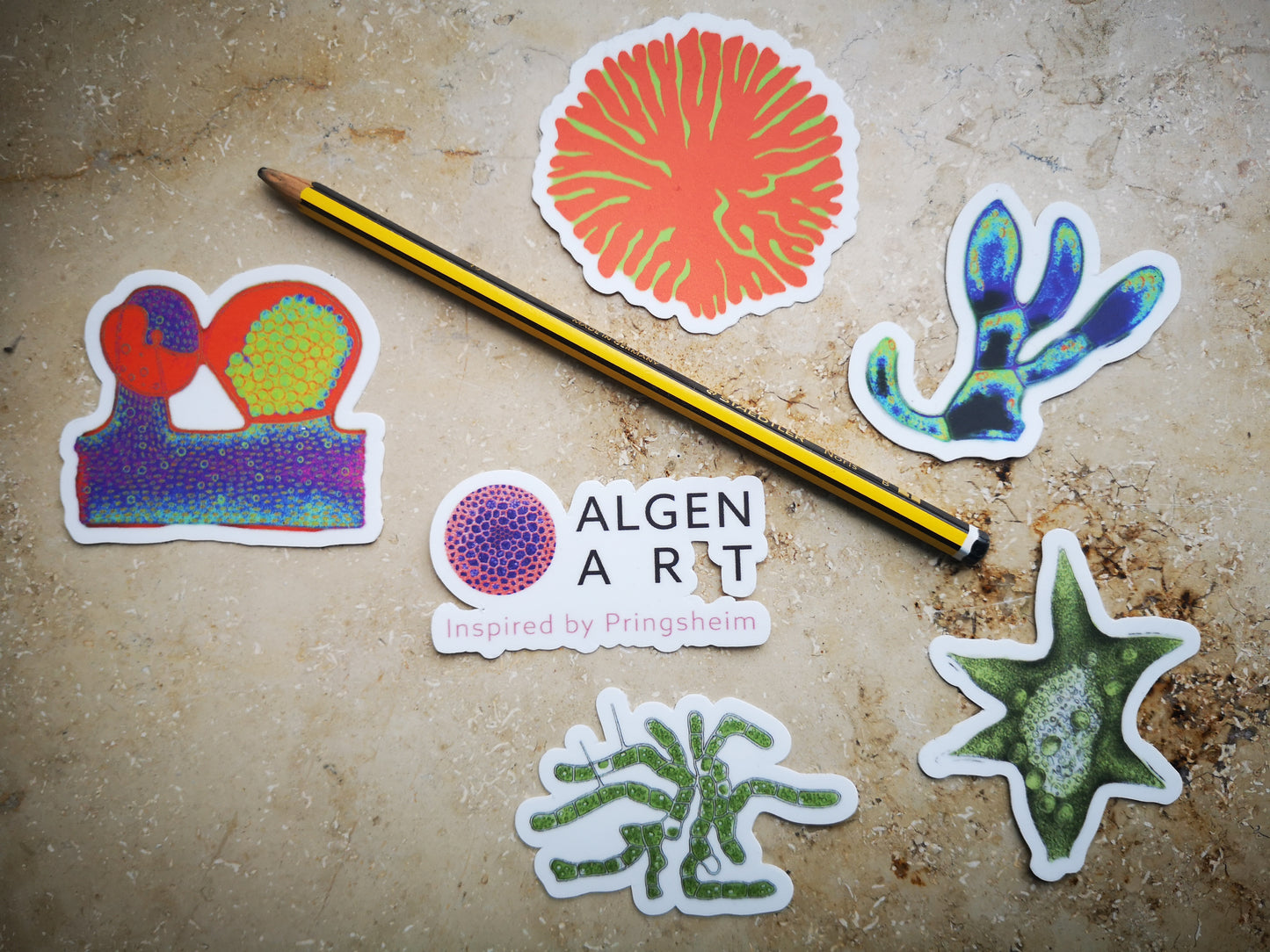 Aufkleber-Set | Mikroskopische Wunder