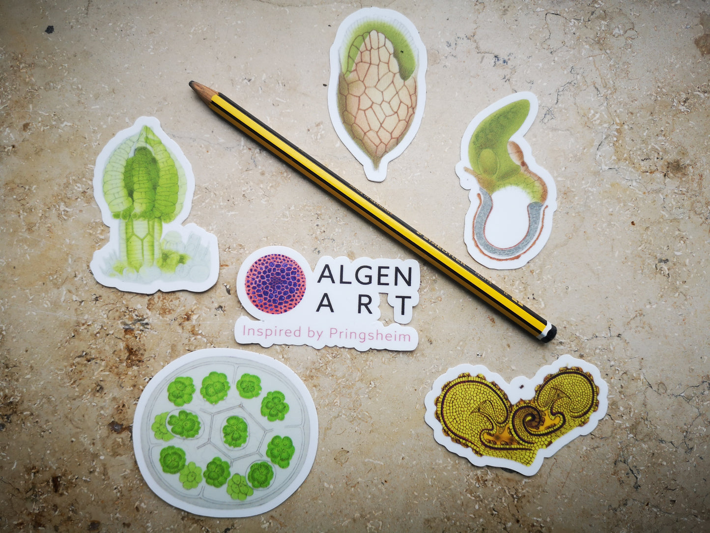 Aufkleber-Set | Mikroskopische Wunder