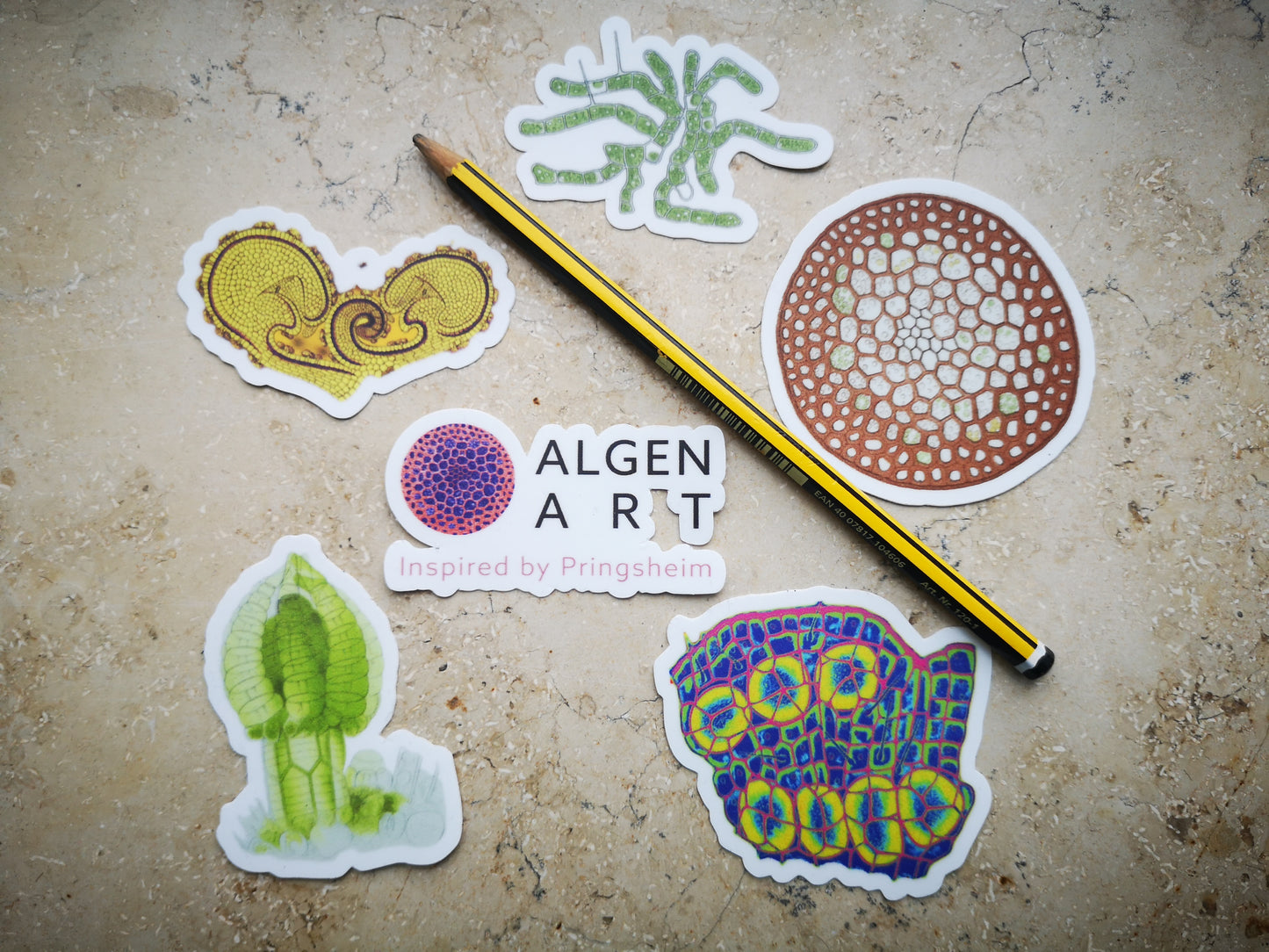 Aufkleber-Set | Mikroskopische Wunder