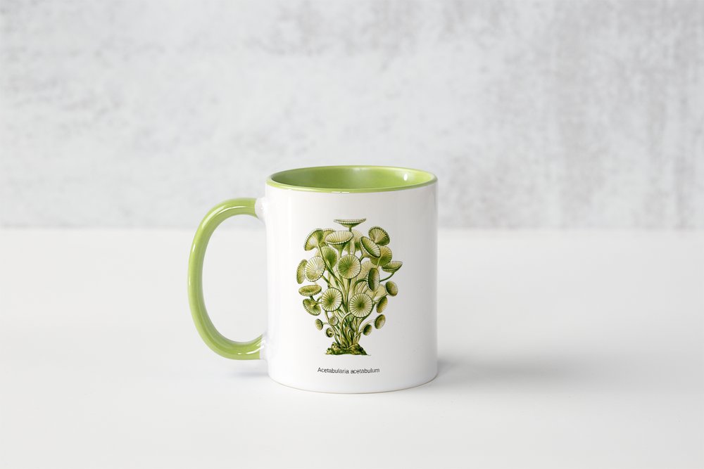 Tasse „Kunstwerke der Mikroskopie“