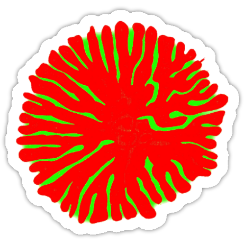 Aufkleber-Set | Mikroskopische Wunder