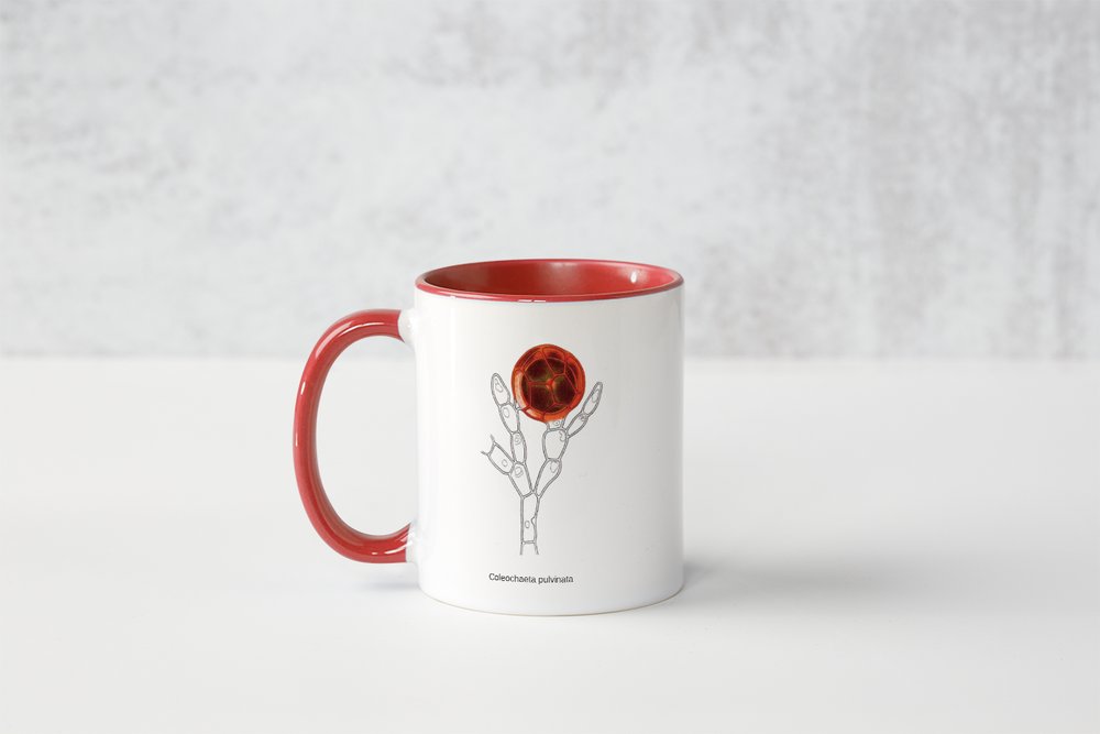 Tasse „Kunstwerke der Mikroskopie“