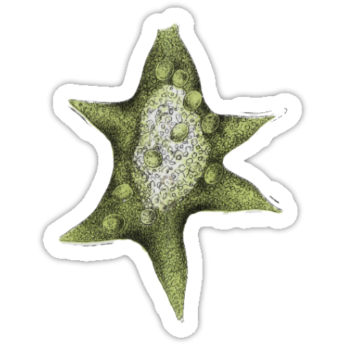 Aufkleber-Set | Mikroskopische Wunder