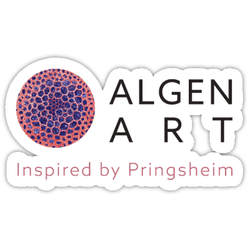 Aufkleber-Set | Mikroskopische Wunder