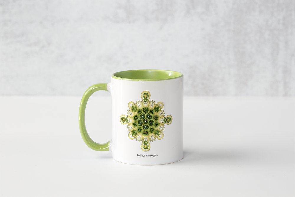 Tasse „Kunstwerke der Mikroskopie“