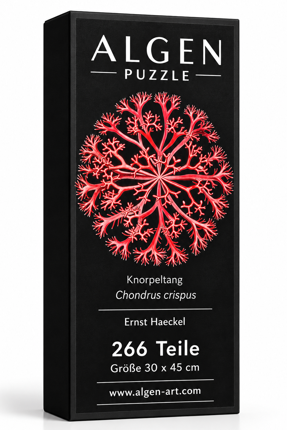 Algen-Puzzle Chondrus