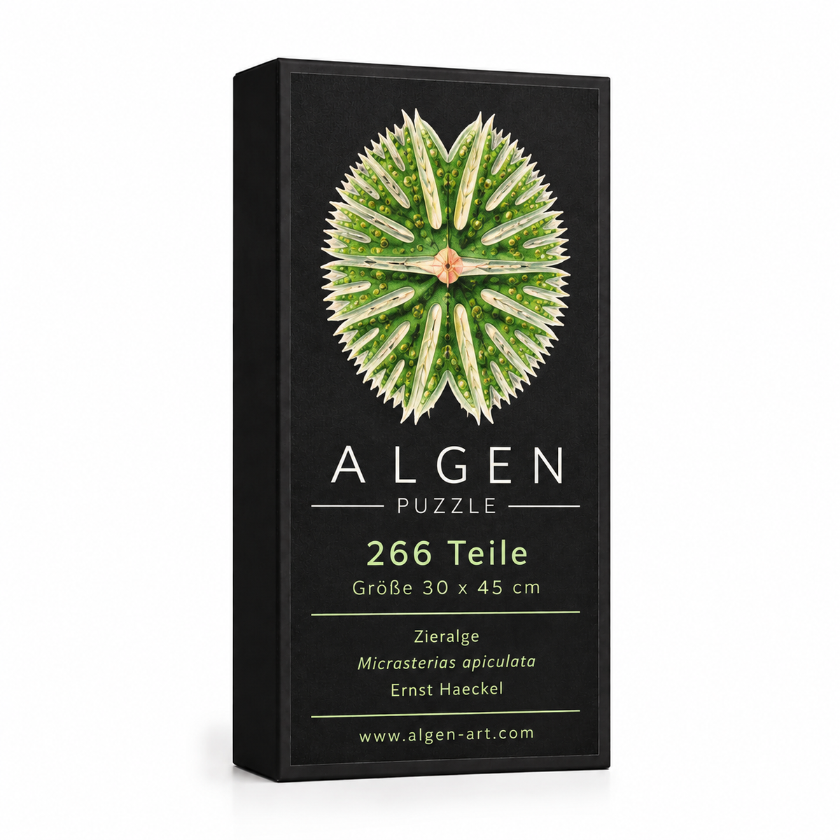 Algen-Puzzle Micrasterias