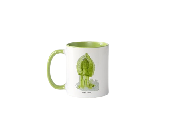 Tasse „Kunstwerke der Mikroskopie“