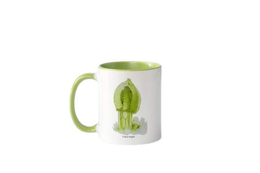 Tasse „Kunstwerke der Mikroskopie“