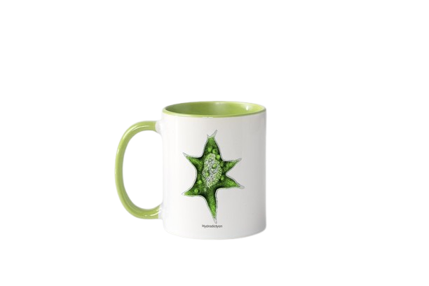 Tasse „Kunstwerke der Mikroskopie“