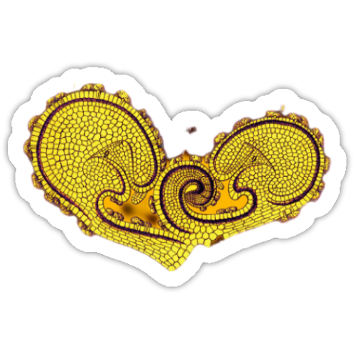 Aufkleber-Set | Mikroskopische Wunder