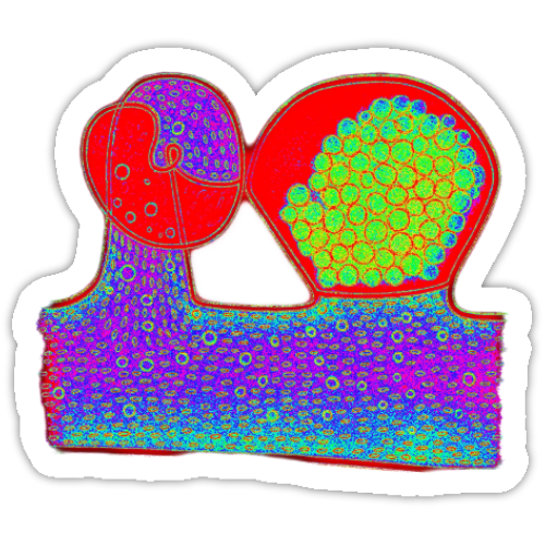 Aufkleber-Set | Mikroskopische Wunder