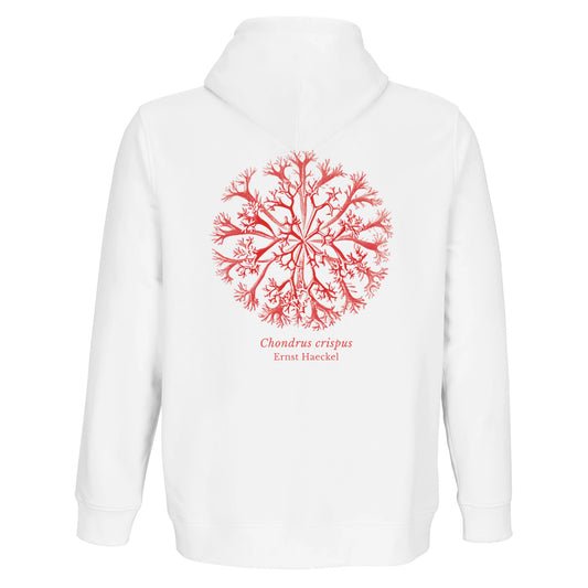 1f44fd1e-b373-4b6d-b2de-76468140fc8f