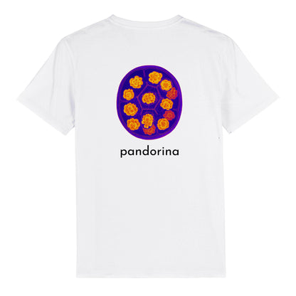 Pandorina T-Shirt