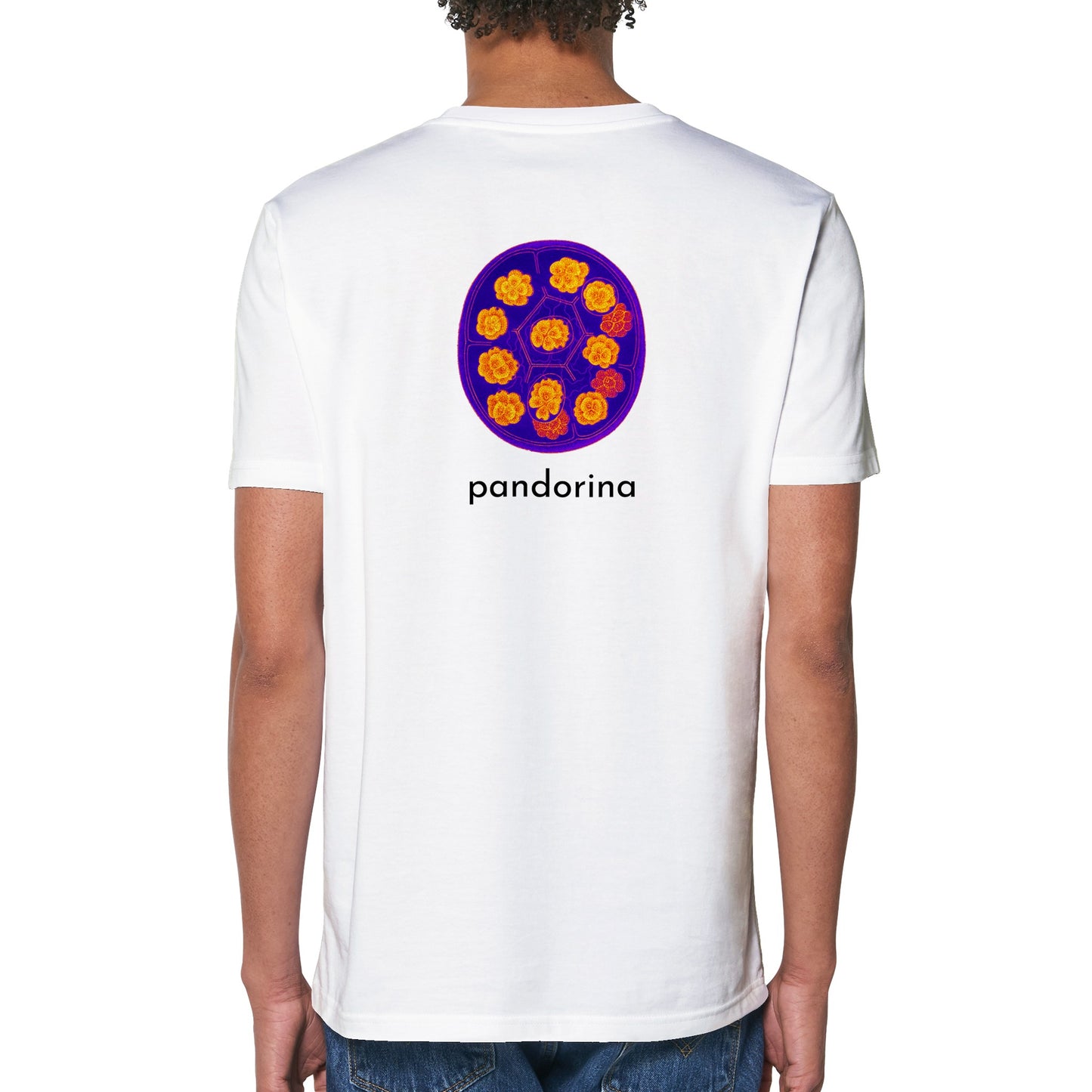 Pandorina-T-Shirt