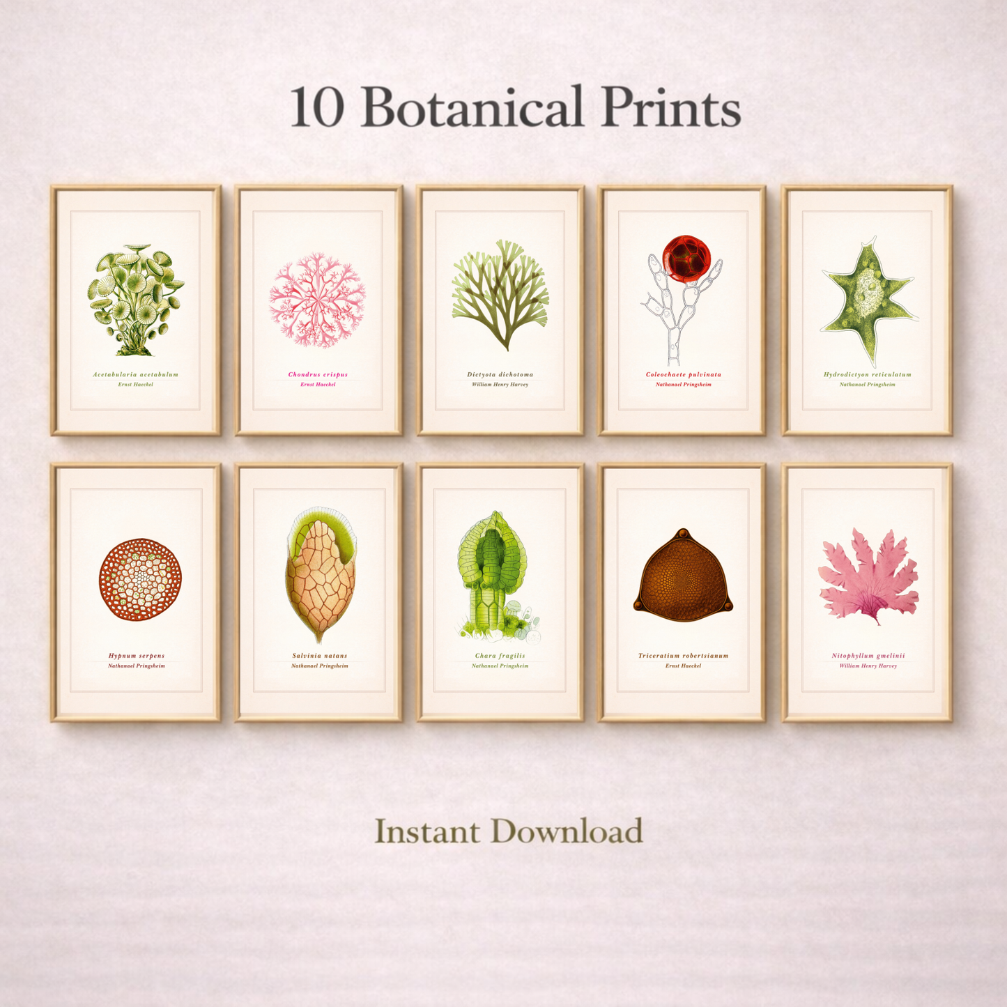 Vintage Botanical Print Set of 10 | Digital Download Wall Art