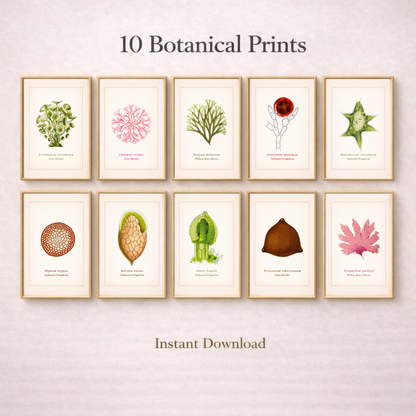 Vintage Botanical Print Set of 10 | Digital Download Wall Art