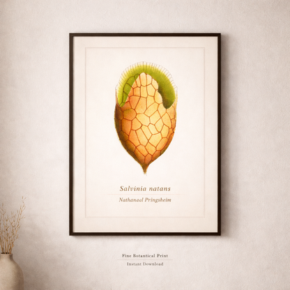 Vintage Botanical Print Set of 10 | Digital Download Wall Art