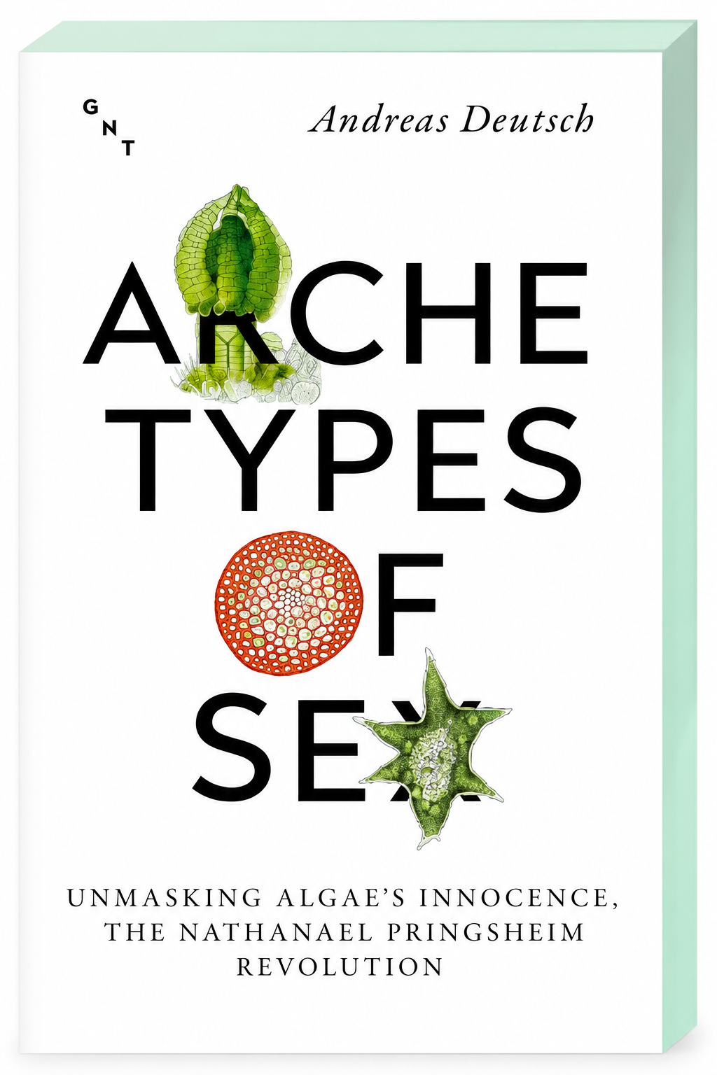 Archetypes of Sex