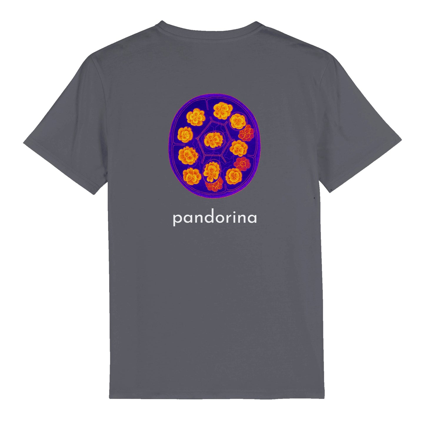 Pandorina-T-Shirt