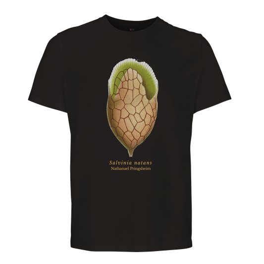 fdda9fb5-c458-485c-86b2-710aa86efa6f