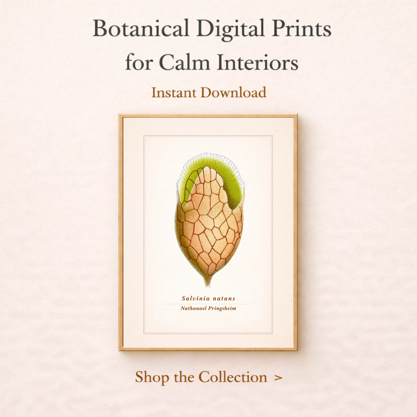Vintage Botanical Print Set of 10 | Digital Download Wall Art