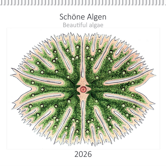 Kalender 2026 „Schöne Algen“: demnächst erhältlich