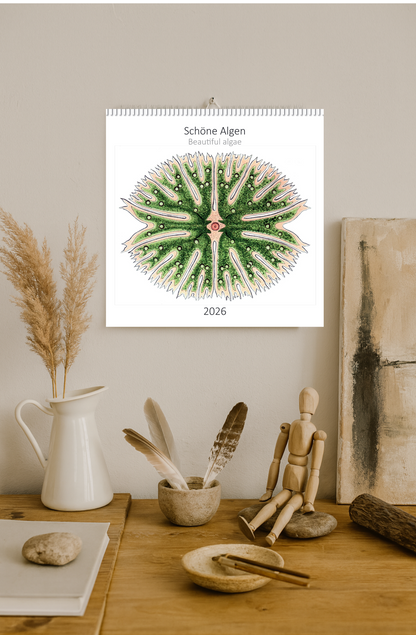 Wandkalender 2026 „Schöne Algen"