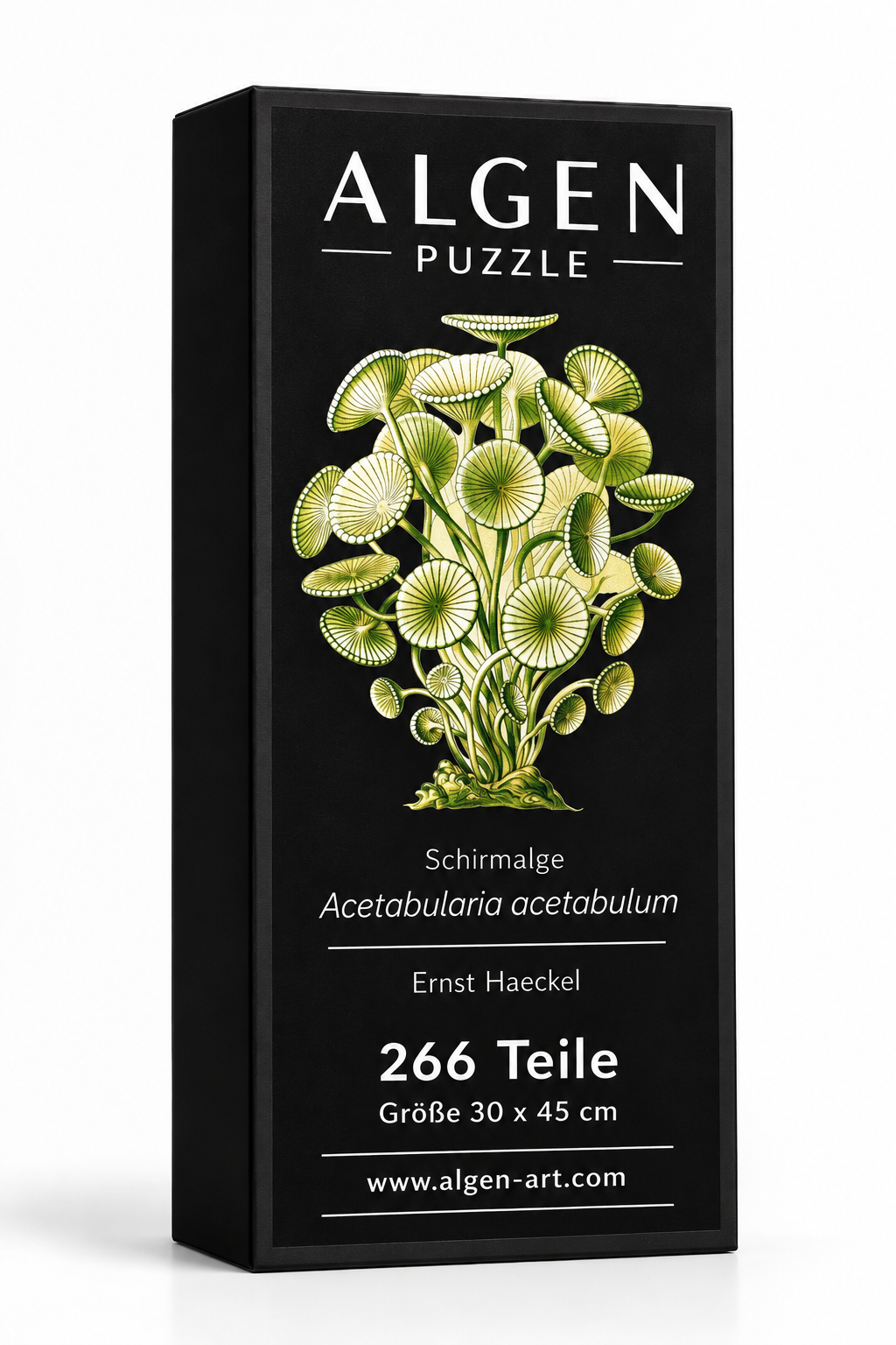 Algen-Puzzle Acetabularia