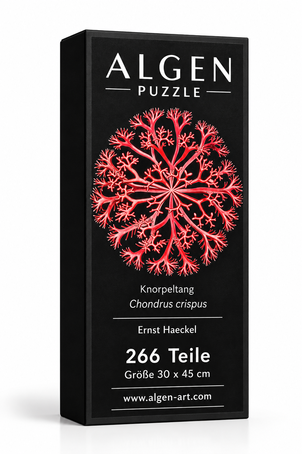 Algen-Puzzle Chondrus