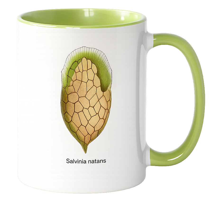 Tasse „Kunstwerke der Mikroskopie“ 