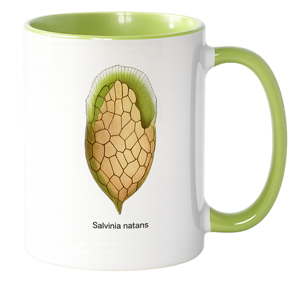 Tasse „Kunstwerke der Mikroskopie“ 