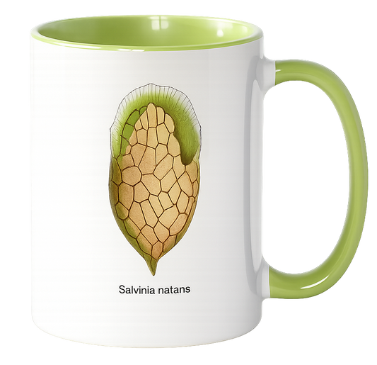 Tasse „Kunstwerke der Mikroskopie“ 