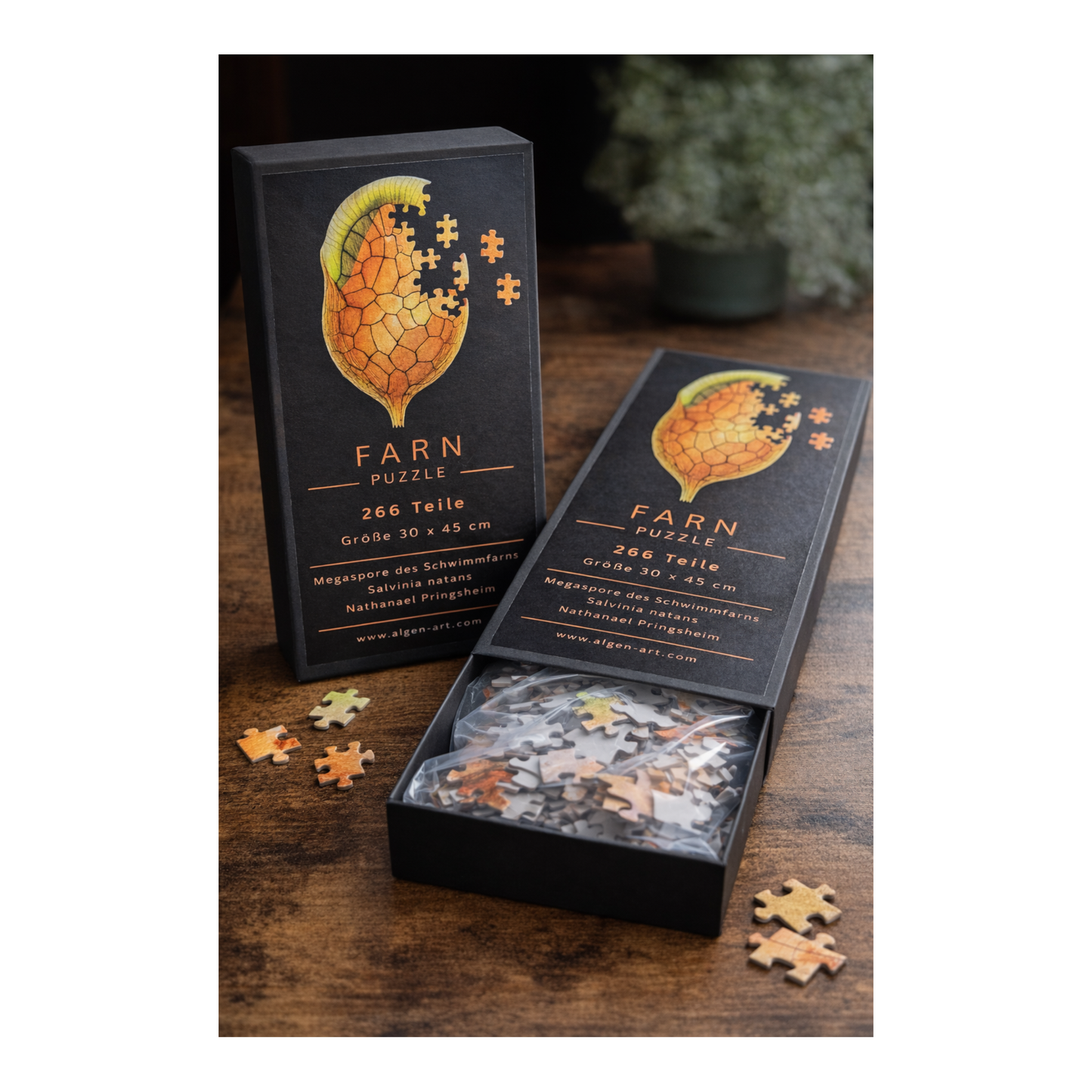 Fern Puzzle – Salvinia