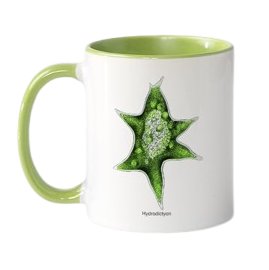 Tasse „Kunstwerke der Mikroskopie“ 